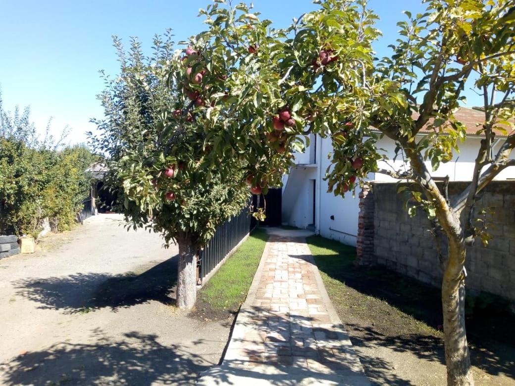 Hostel De Эскель Экстерьер фото